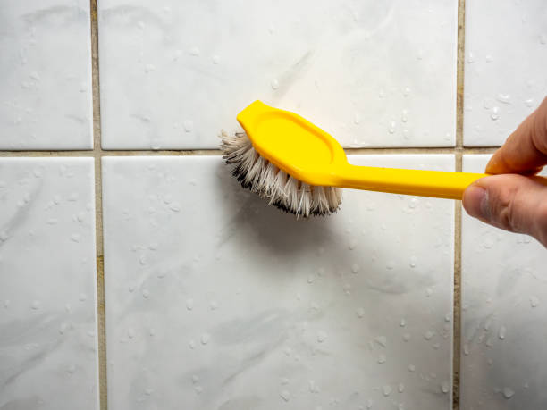 Best Attic Mold Removal  in Russells Point, OH