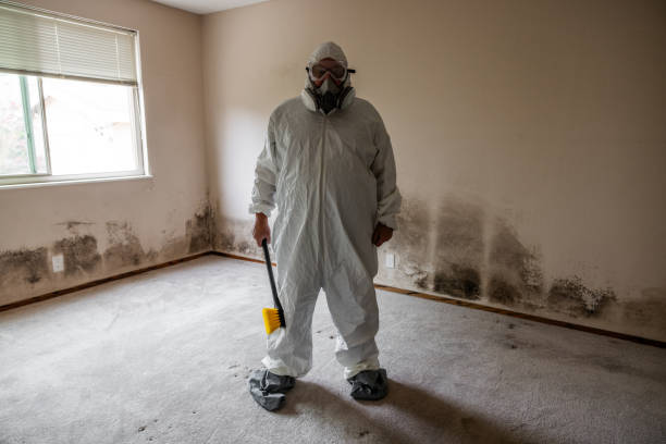 Best Residential Mold Removal  in Russells Point, OH